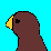 A Bird and a Burger