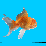 Swimmy/Bananas' Undersea