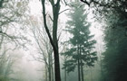 FOG ep. 1 by assjoe