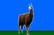 Llama HENTAI Quest Game