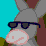 I am a Canadian Donkey