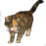 Skript Kitty Episode 1