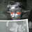 FranX Chatter Bot
