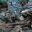 Toads Adventure 7