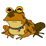 Hypno Toad - Futurama