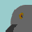 Pigeon.