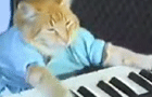 Keyboard Cat