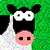 Cow Constipation