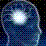 The Brain Quiz