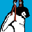Penguins can fly