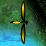 Zaz Shooter 2