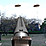 Skeet competition