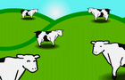 Cows