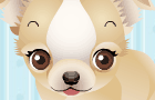 Puppy Styling