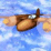 Air Marshall