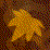 -AutumnFlower intro test-
