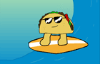Surfin' Taco