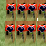 Redcoat Invasion