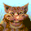 River Cat