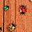 Life Of The Bugs
