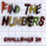 Find Numbers Challenge 24