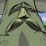 Big Deku's Statue