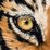 Eyes of the Tiger