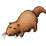 dress otter