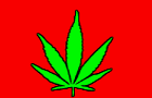 [NoN] Drugs.