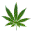 [CC] Rupee gets High