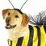 Beedawg: The Video Game