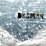 Desman
