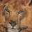 Lions with Glasses