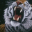 Tigers In Space