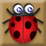 Bug Box