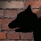 Wolf Man