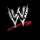 wwe summerslam 1st person