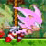 Mario VS Hyper Sonic