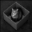 Cat In a Box