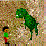 Dinos Run
