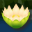 Flower Blossom