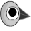 Birdness Interactive
