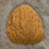 Memory Shell Game