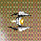 falcon wing
