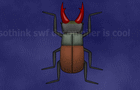 Stagbeetle Day '09 by Lisard