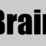 How Big Is Your Brain