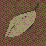 Leaf & Flag