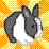 Save the Bunny