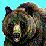 baer story