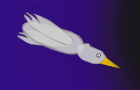 HoopzShort #11 - Seagull